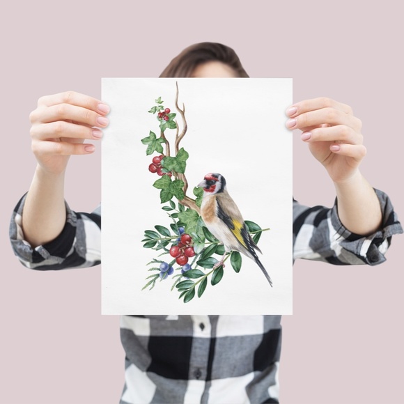Goldfinch Bird Wall Art Watercolor Illustration Print Poster Card Unframed - Picture 4 of 7